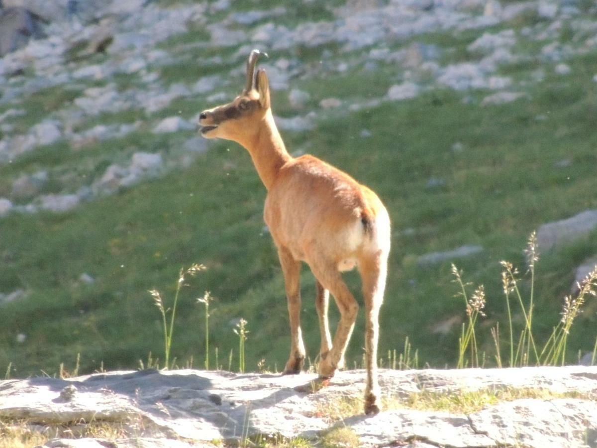 L'Espugue Daire Gèdre Dış mekan fotoğraf